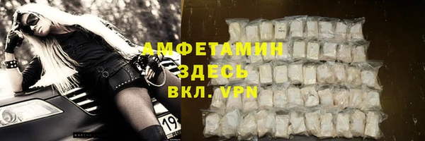 прущие грибы Гусь-Хрустальный