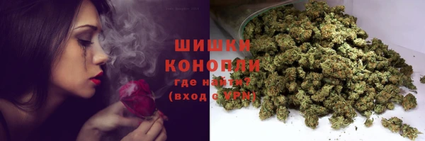 ГАЛЛЮЦИНОГЕННЫЕ ГРИБЫ Горнозаводск