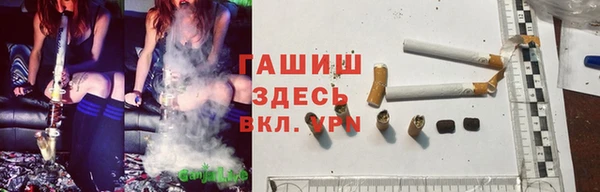 прущие грибы Гусь-Хрустальный
