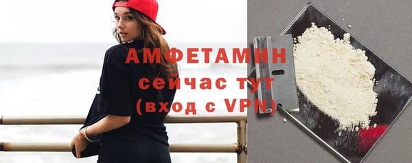 шишки Архангельск