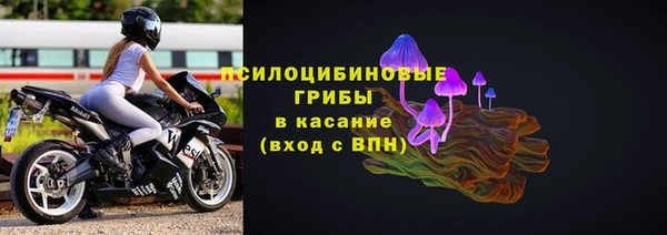 ALPHA-PVP Гусев