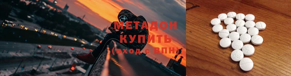 гидра Горняк