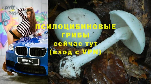 соль курить ск Гусиноозёрск