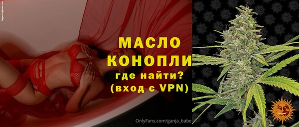 гидра Горняк