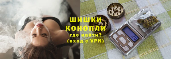 сатива Горно-Алтайск