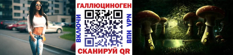 Галлюциногенные грибы Psilocybine cubensis  Задонск 