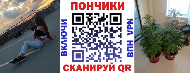 Бошки марихуана марихуана  сколько стоит  Задонск 